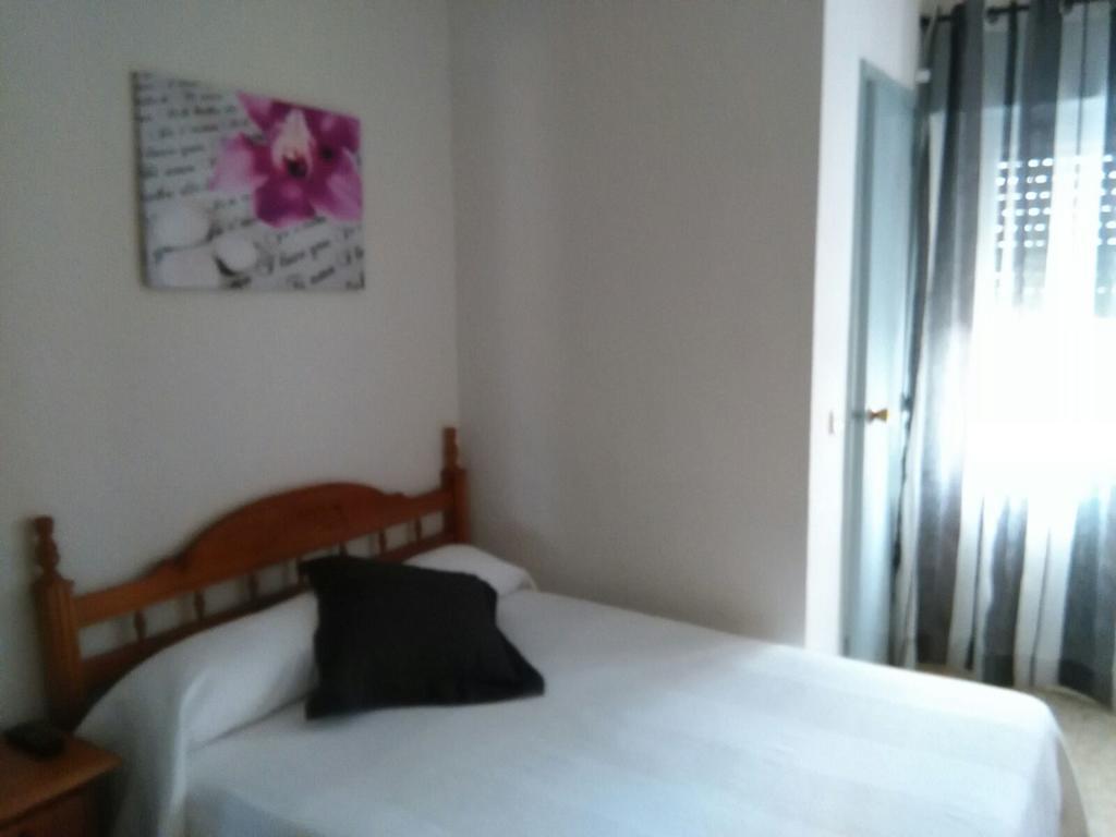 זמורה Hostal San Isidro מראה חיצוני תמונה